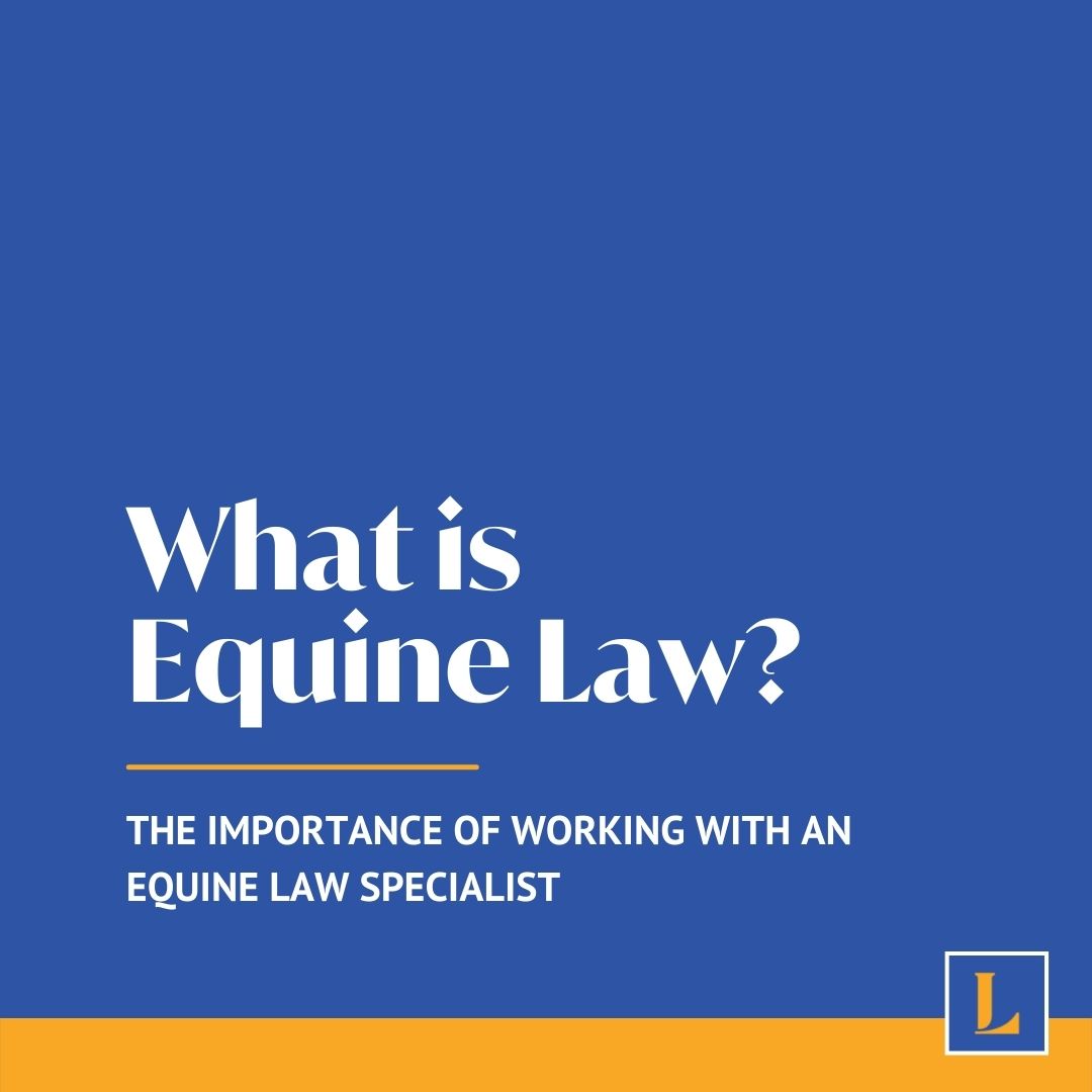 What is Equine Law? The Importance of Working With An Equine Law